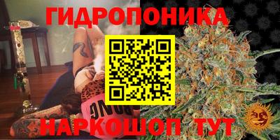 эйфоретик Кулебаки