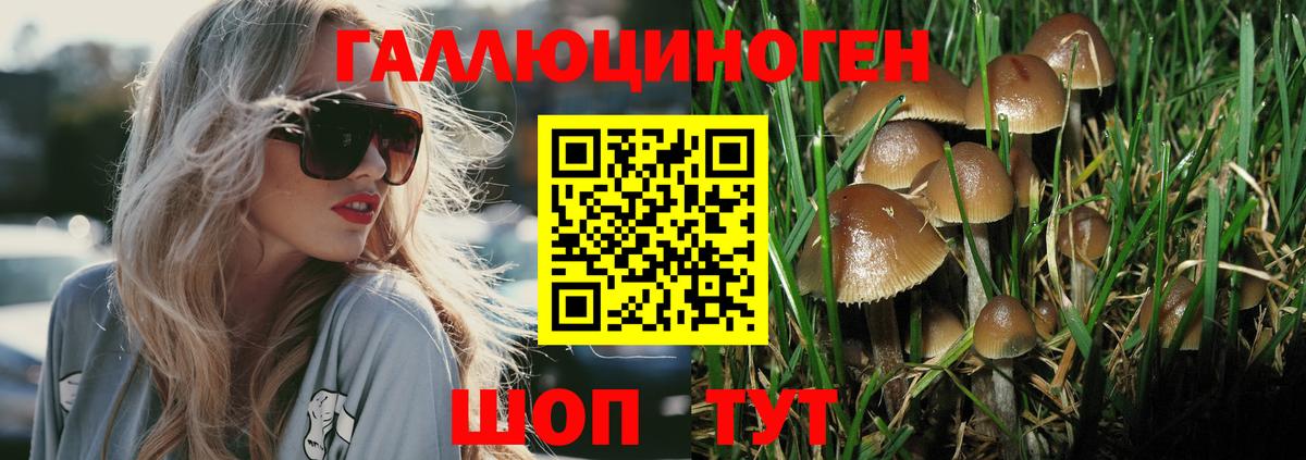 Джанкой  Галлюциногенные грибы Psilocybine cubensis  Вход с VPN 